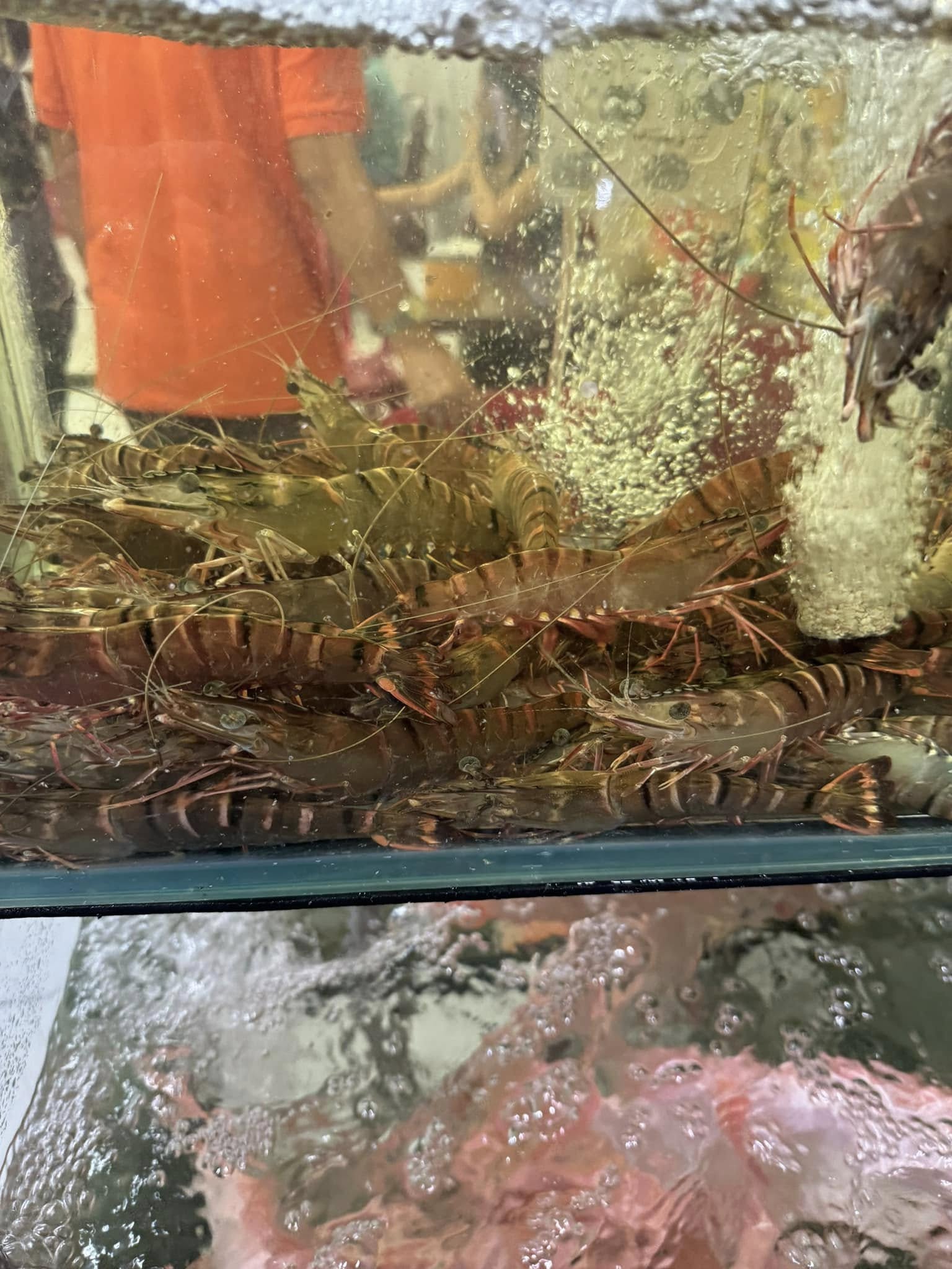 Quán 79 の海鮮料理